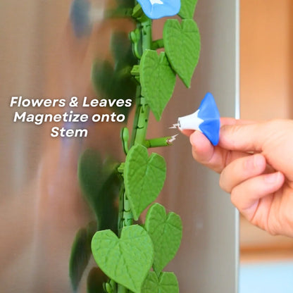 Bloom Vine - Morning Glory