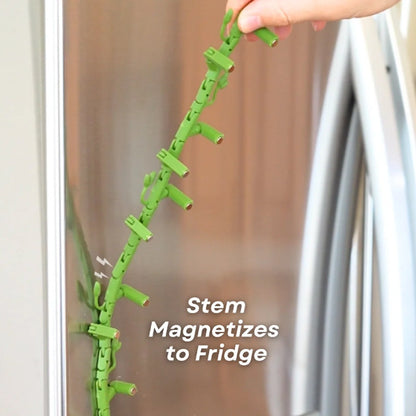 Bloom Vine - Morning Glory