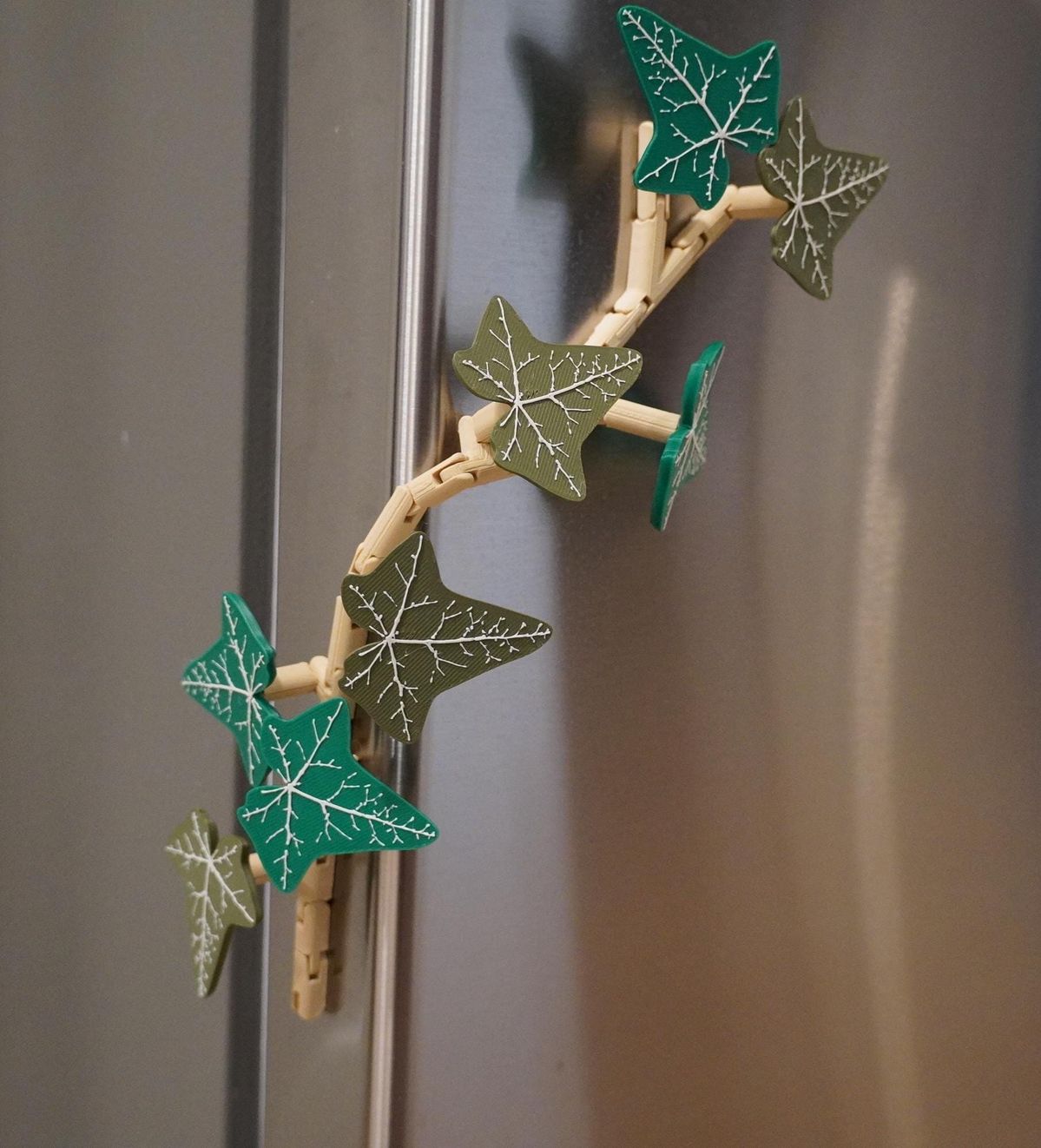 English Magnetic Ivy